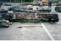 Columns BU
