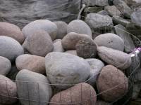 Cheekye River Rock 6" - 12"
