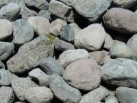 Cheekye 3+ Man Boulders