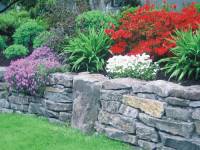 Basalt Regular Wallstone