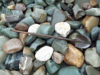 Wild River Rock 12"+