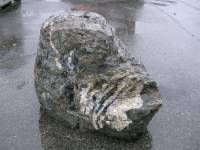 Hunters River Rock Gurgler Large